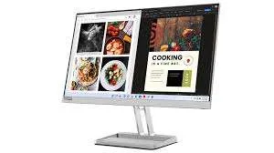 Lenovo L24i-40 60.45cms (23.8) Monitor